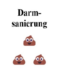 Darm-sanier-ung
